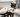 Tick Borne Diseases In Cats