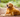 Adopting a Senior Dog: A Heartwarming Experience