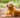 Adopting a Senior Dog: A Heartwarming Experience