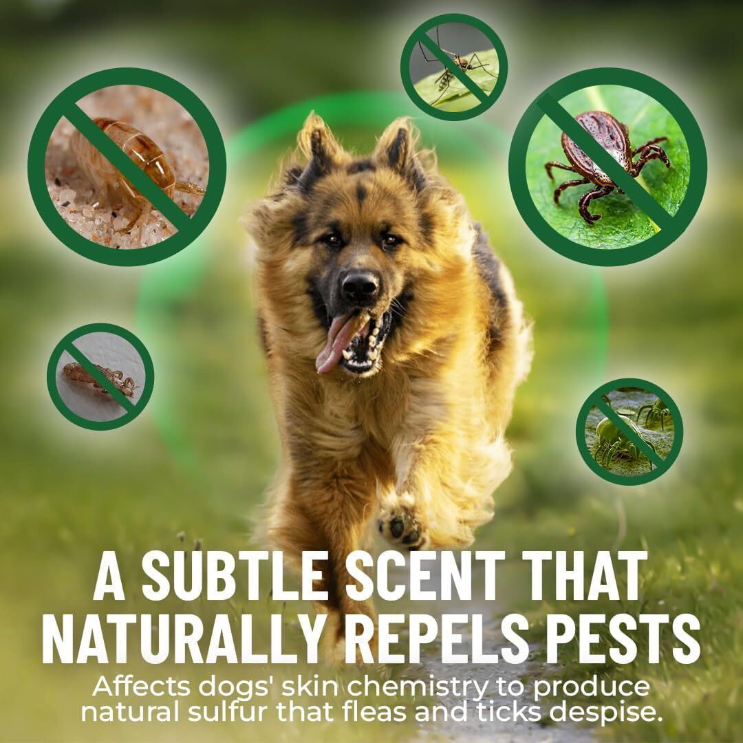 GCP Flea &amp; Tick Natural Defense for Dogs - 100 Soft Chews