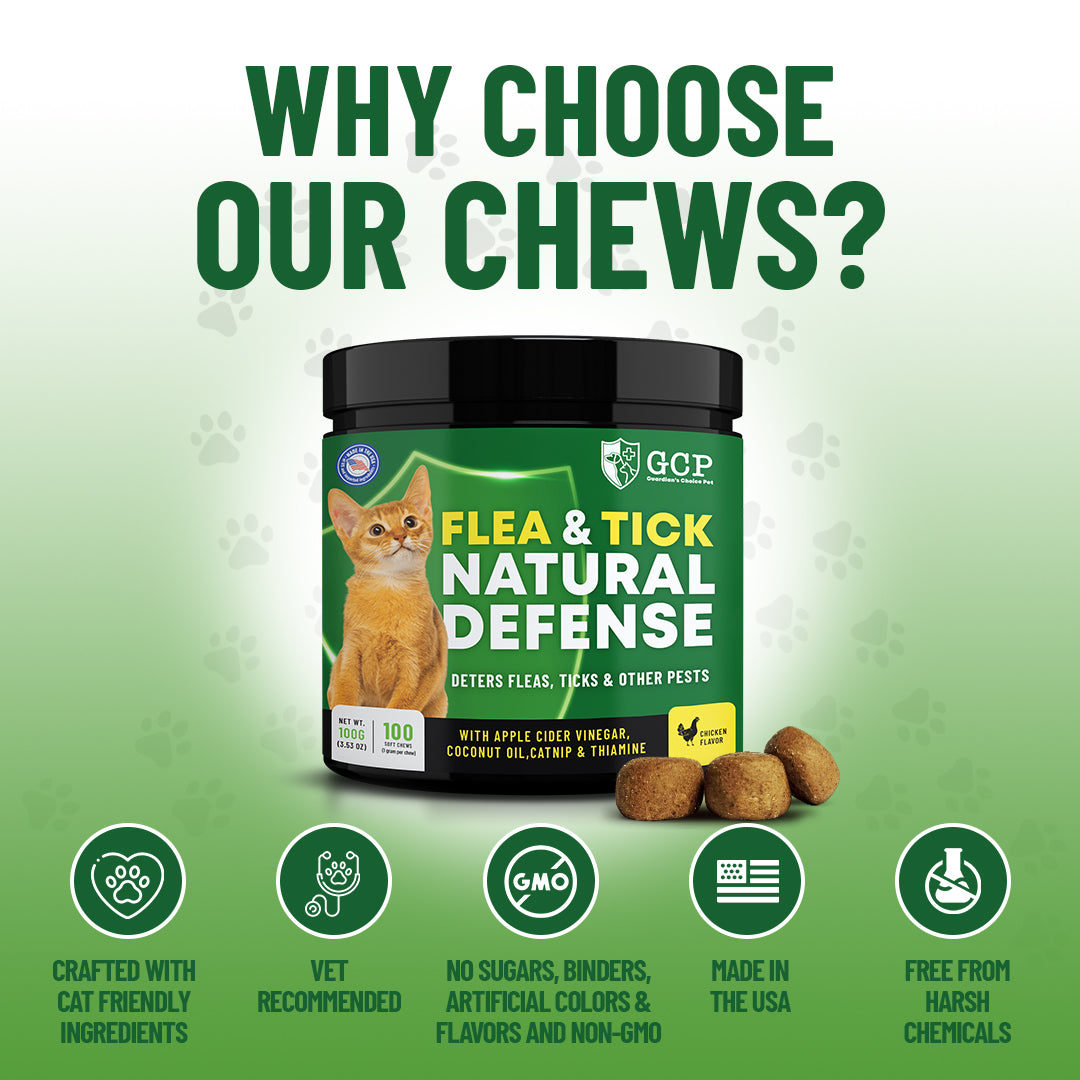 A closer look at Organic Flea And Tick Protection For Outdoor Kittens