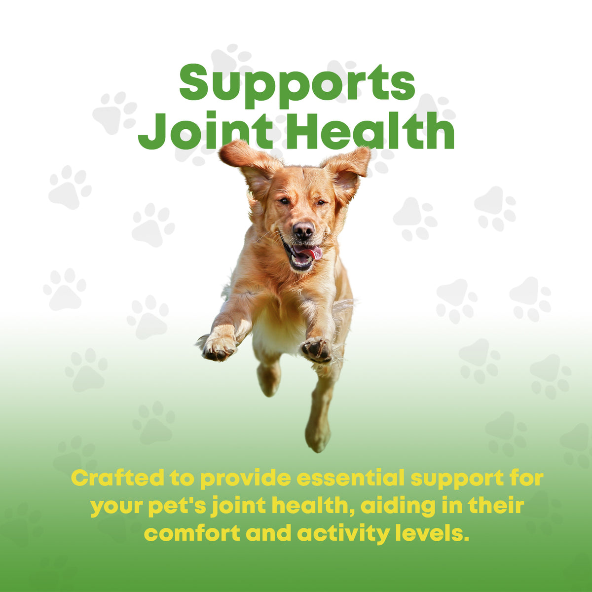 GCP Joint &amp; Hip Formula for Dogs