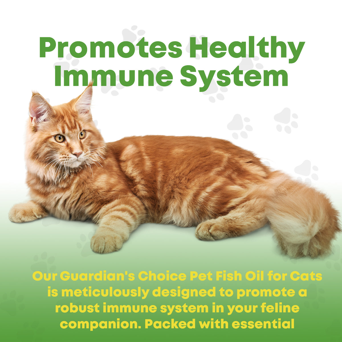 GCP Joint &amp; Hip Formulas for Cats